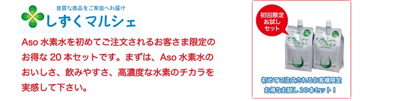 ���f�ܗL��3.3�ȏ�`�r�n���f�� ���T�C�g